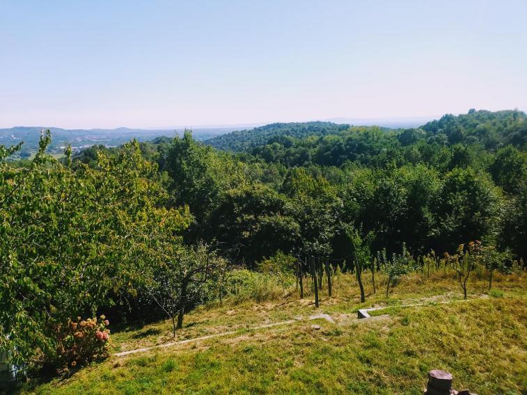Hotel Il Pettirosso Castellamonte Zewnętrze zdjęcie